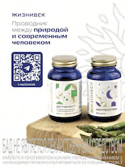 жизнивек